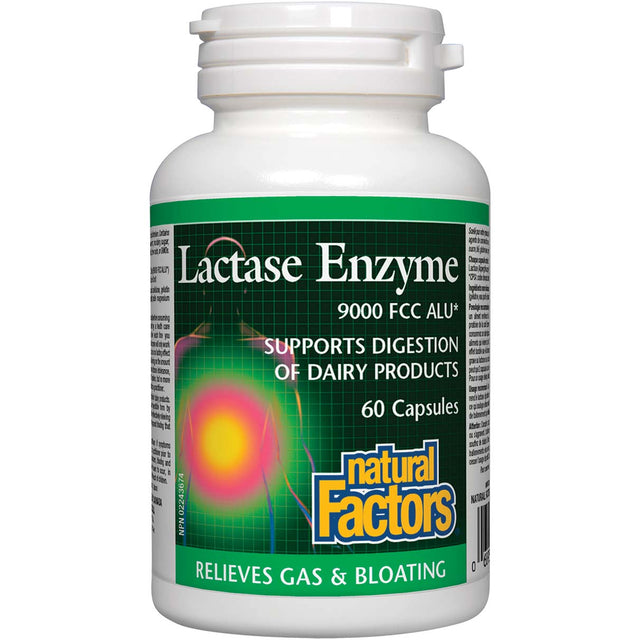 Lactase Enzyme, Natural Factors, 60 Capsules - Natural Factors